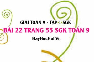 Giải bài 22 trang 55 SGK Toán 9 tập 1